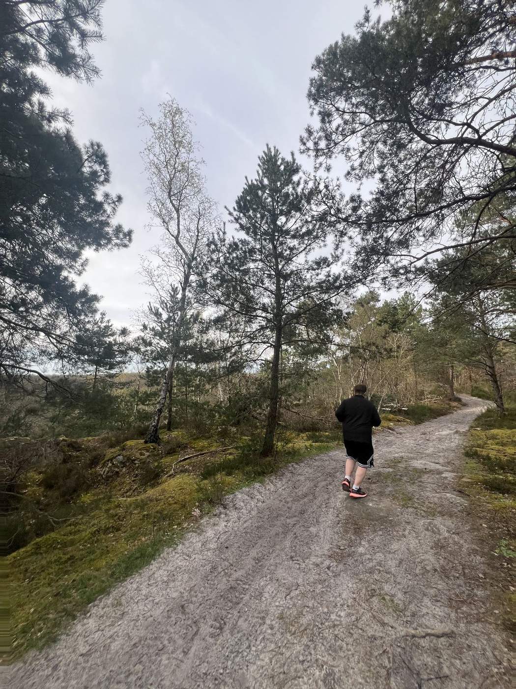Course sur les sentiers de la forêt du Gâtinais en séance de coaching